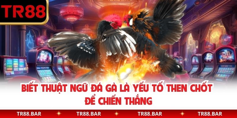 Biết thuật ngữ đá gà là yếu tố then chốt để chiến thắng