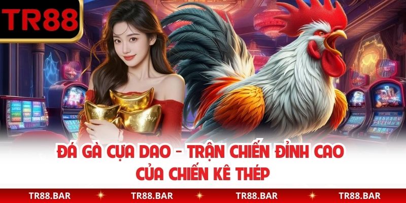 Đá Gà Cựa Dao - Trận Chiến Đỉnh Cao Của Chiến Kê Thép